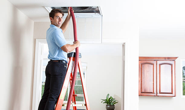 Air Duct Mold Removal in Dry Ridge, KY